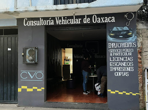 Gestoria Consultoria Vehicular De Oaxaca