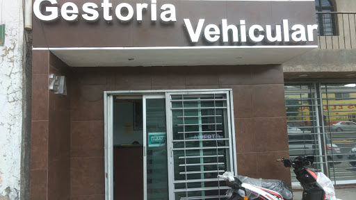 Gestoria Gestoria Vehicular, Morfin Sa