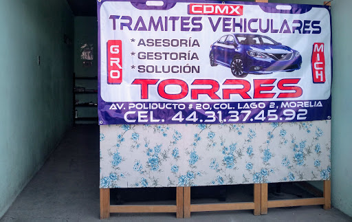 Tramites Vehiculares Torres jpg